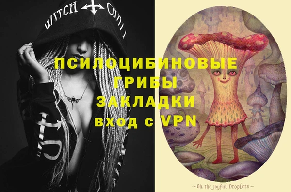 jwh Верхний Тагил