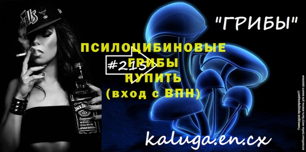 spice Верея